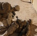 Infantrymen work hand in hand with Afghans during counterinsurgency exercise