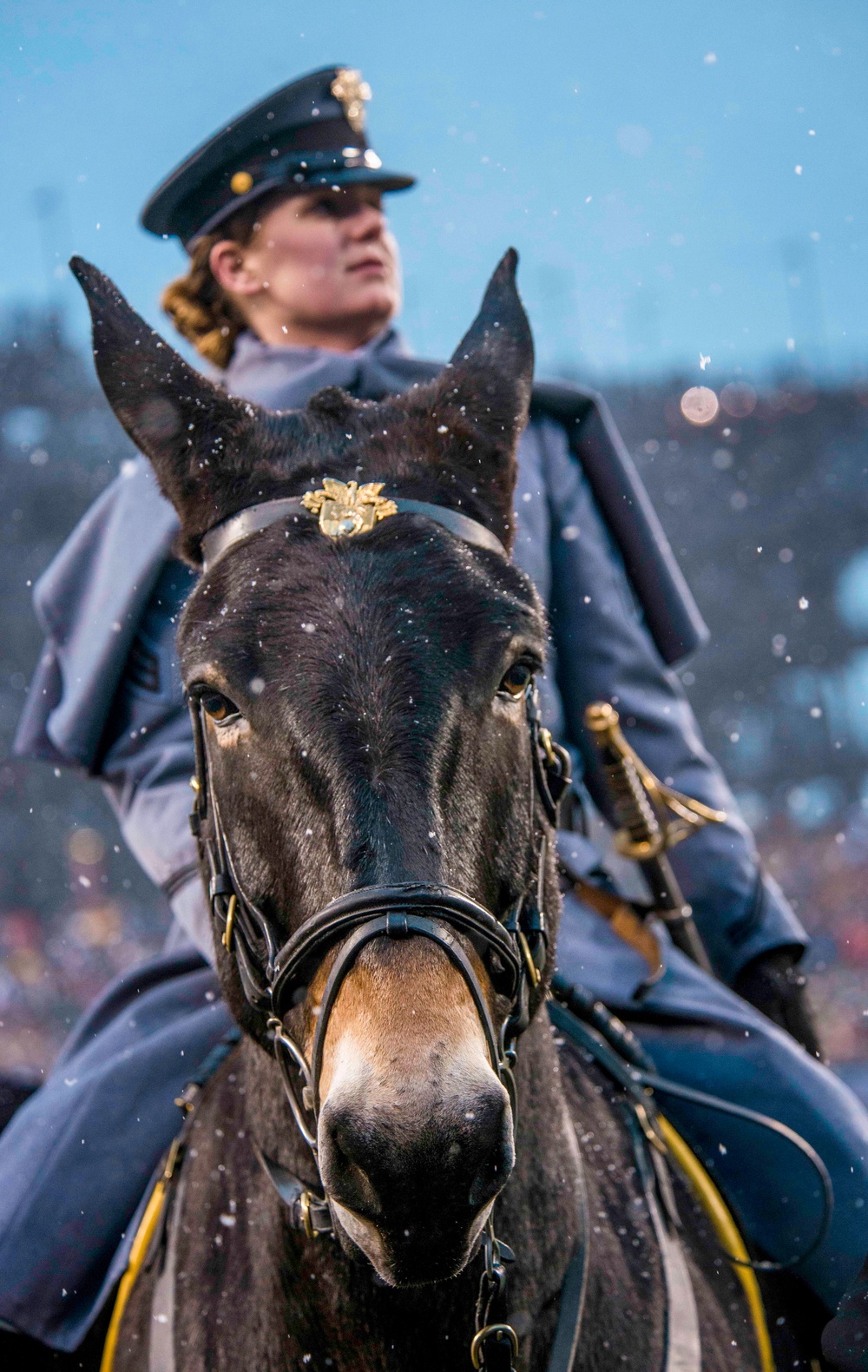 Army-Navy football