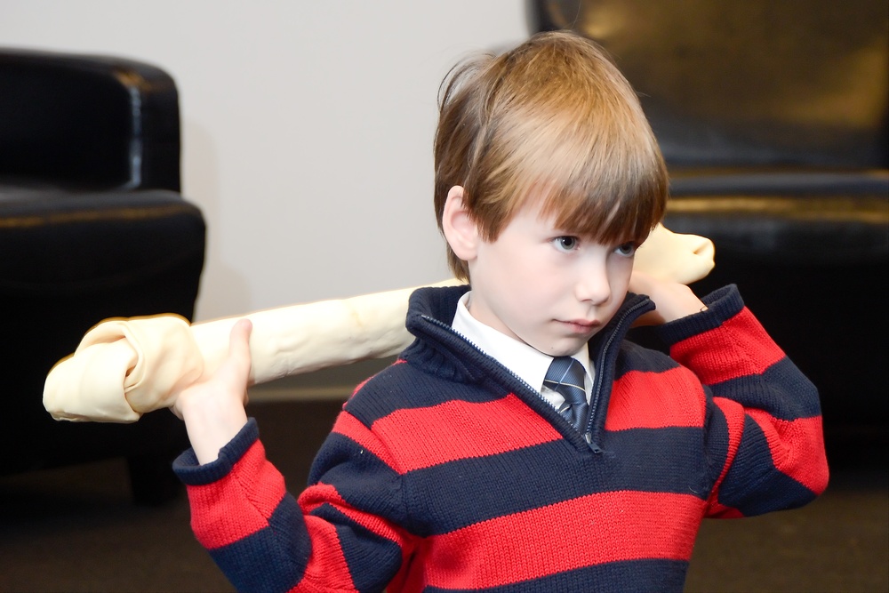 Military working dog retirement