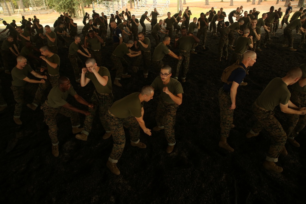 Photo Gallery: Parris Island recruits train physically, mentally for title Marine