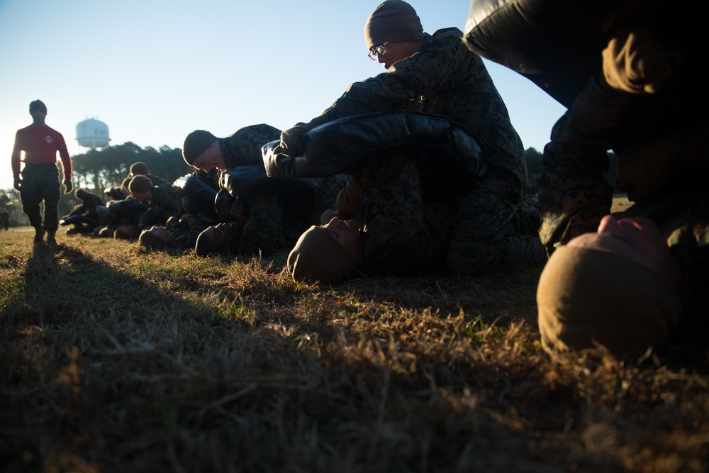 Photo Gallery: Parris Island recruits build strength, endurance, speed using Marine Corps martial arts