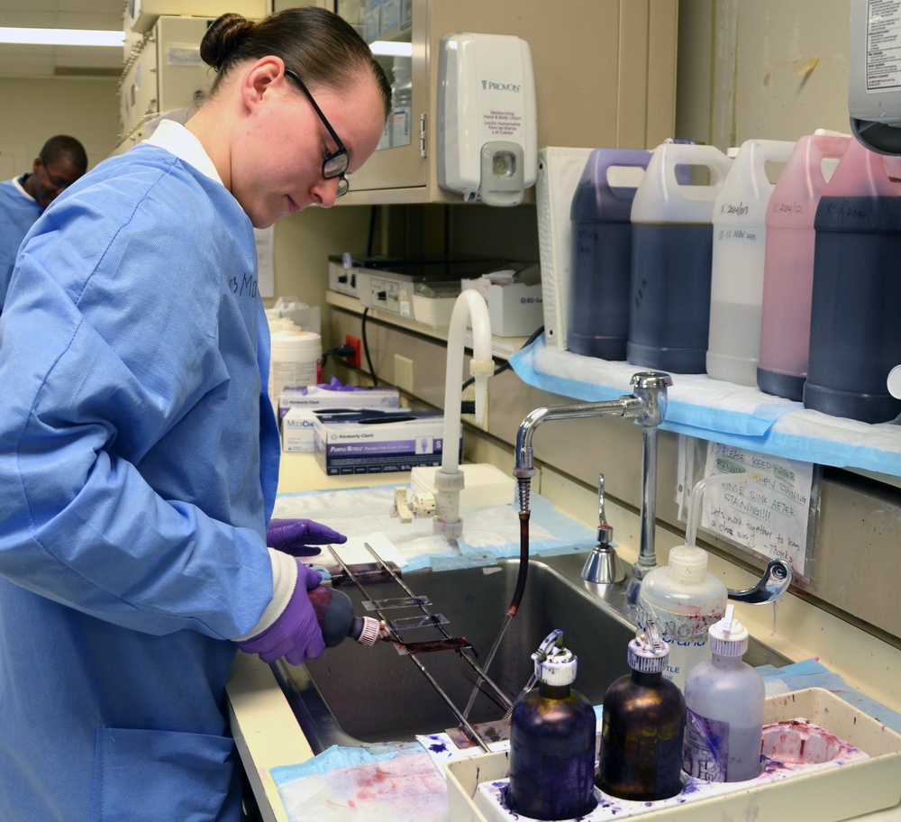 METC medical laboratory technician program: Fast-paced course in high demand career field