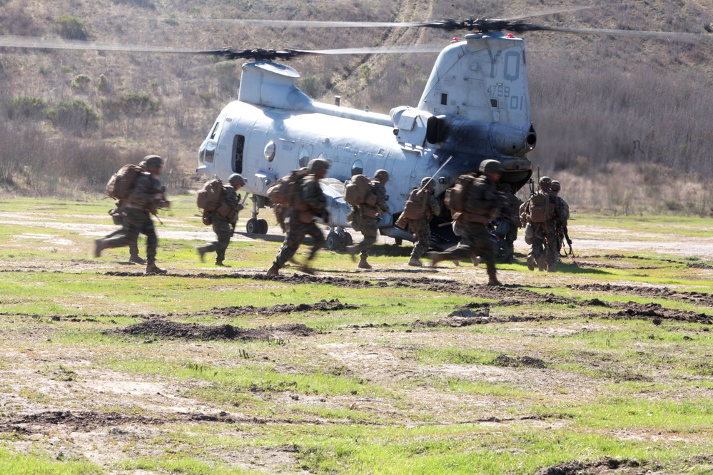 2nd Battalion, 1st Marines conduct exercise Steel Knight