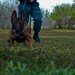 Canine training