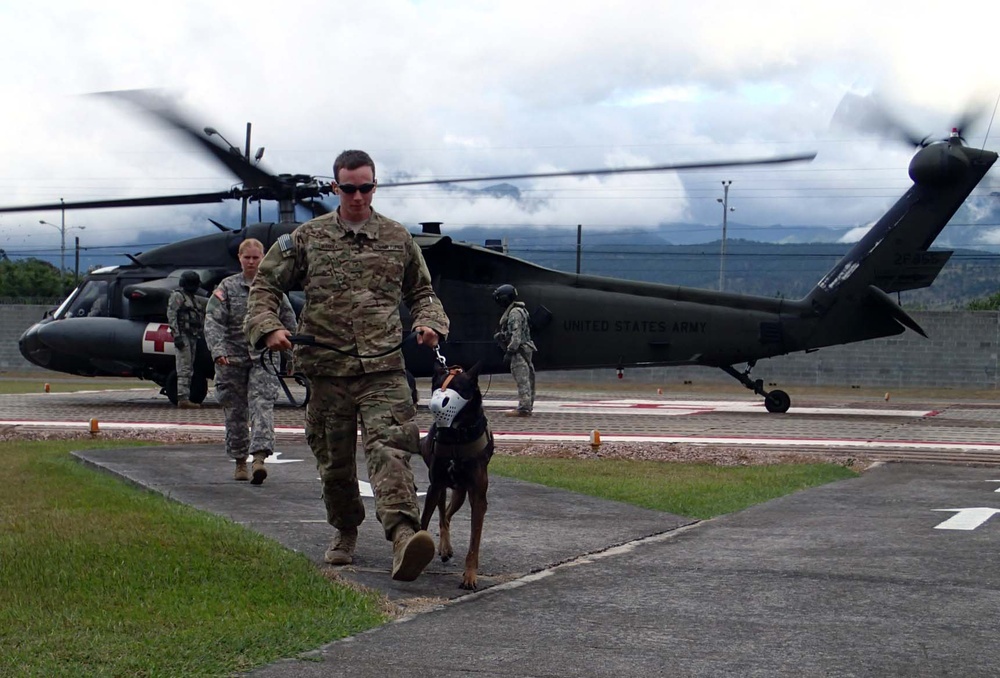 Joint Task Force-Bravo's military working dogs receive MEDEVAC familiarization training