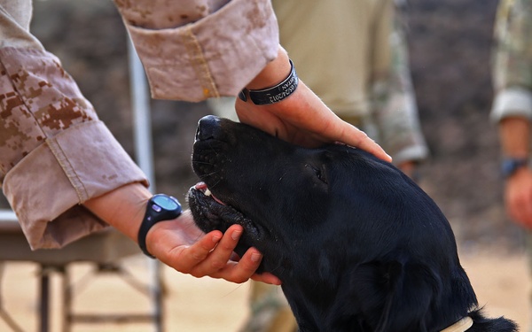 13th MEU conducts sustainment training in Djibouti