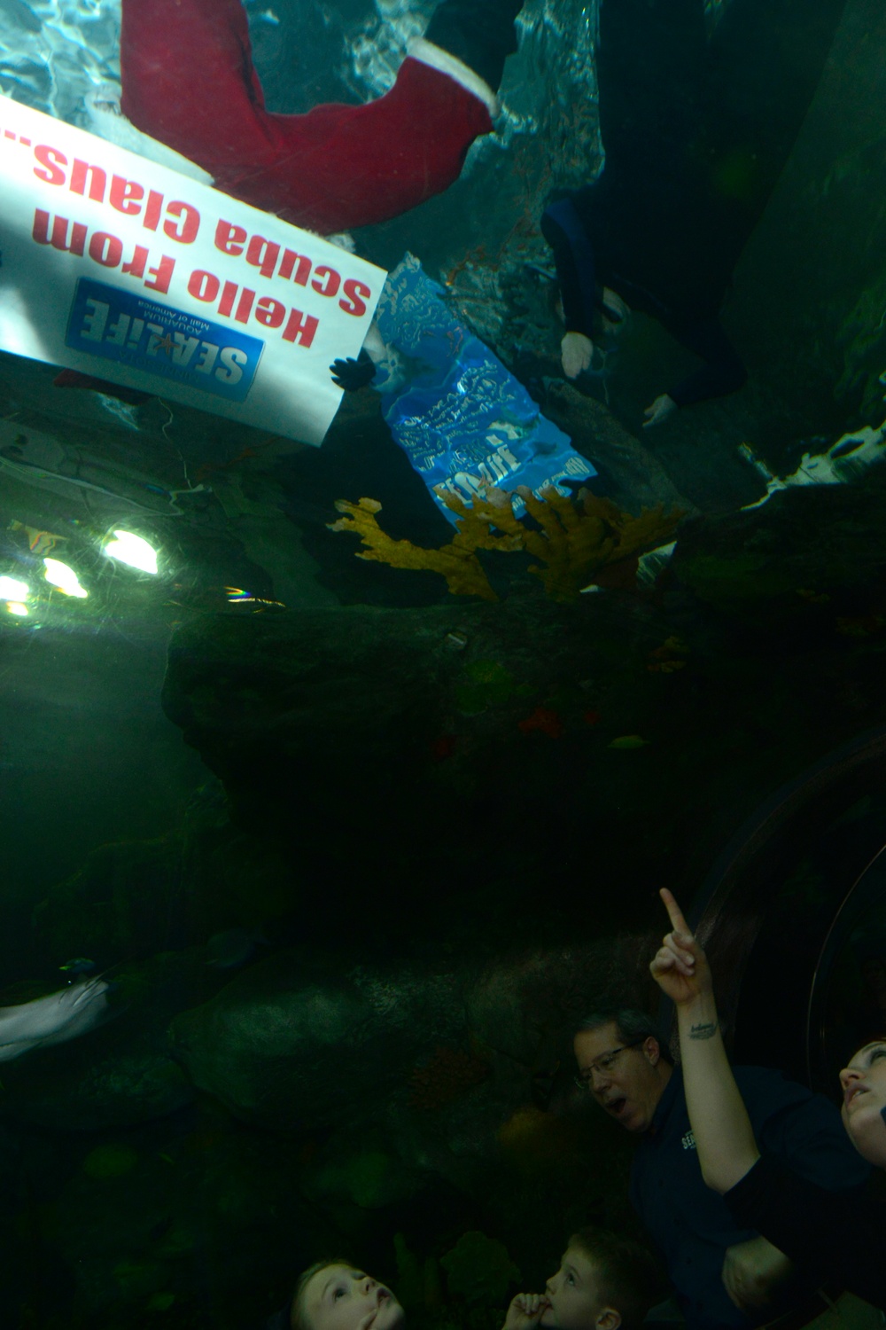 What's Inside  SEA LIFE Mall of America Aquarium