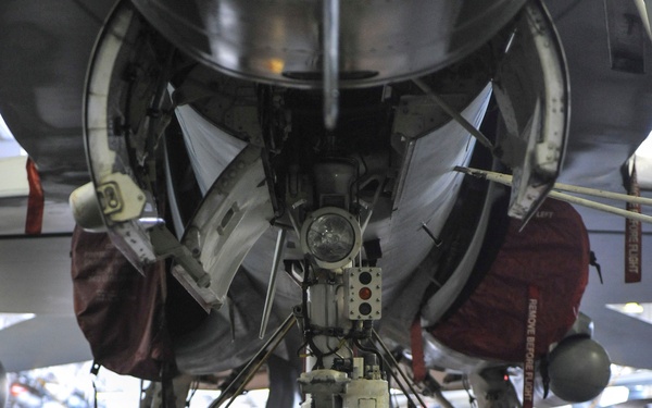 Installing new tires