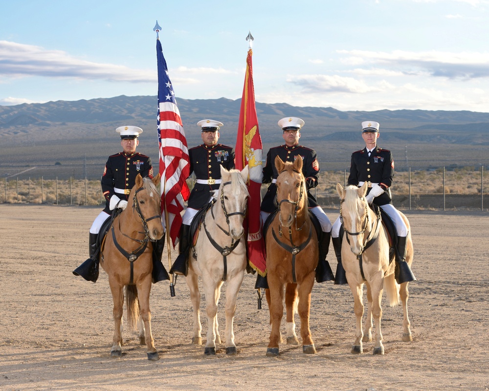 United States Marine Corps Mounted Color Guard Official Portrait