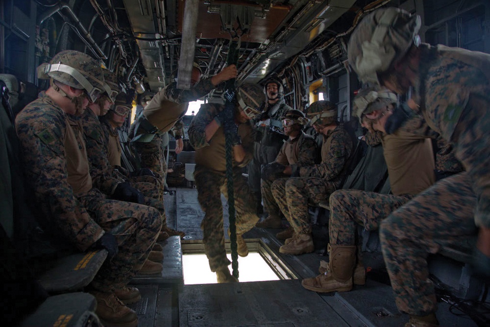 Infantry Marines with 31st MEU drop in for fast-rope training
