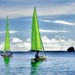 Basic sailing class