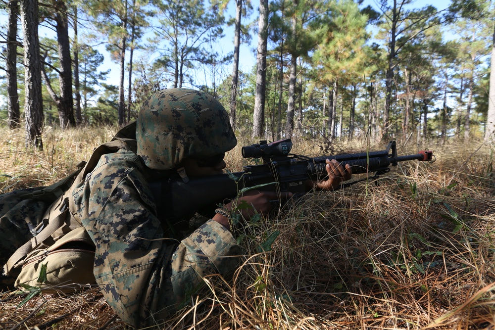 MCCSSS FEX MCCSSS FEX