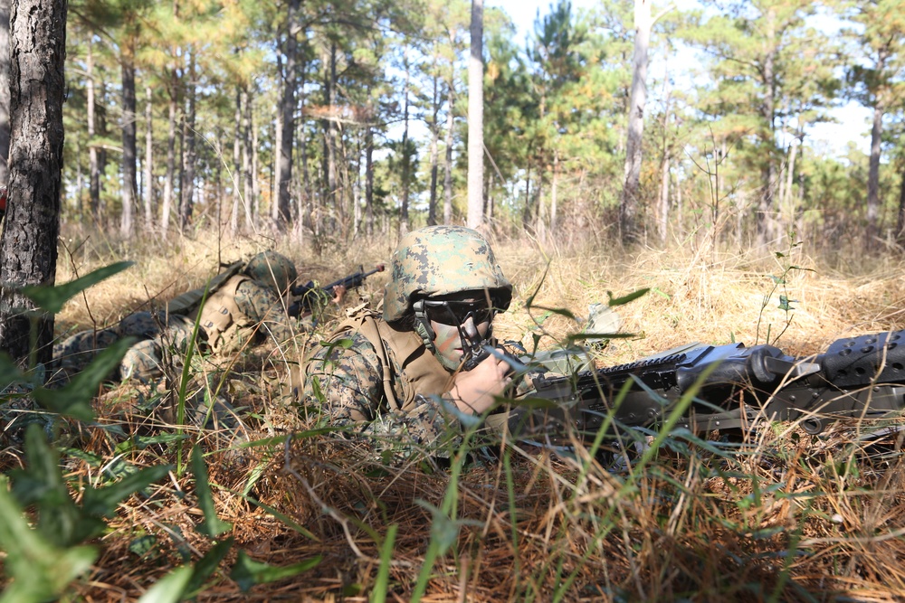 MCCSSS FEX MCCSSS FEX