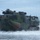 AAV Training Exercise