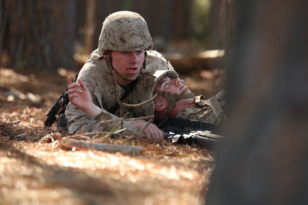 Photo Gallery: Parris Island recruits complete 54-hour challenge for title Marine