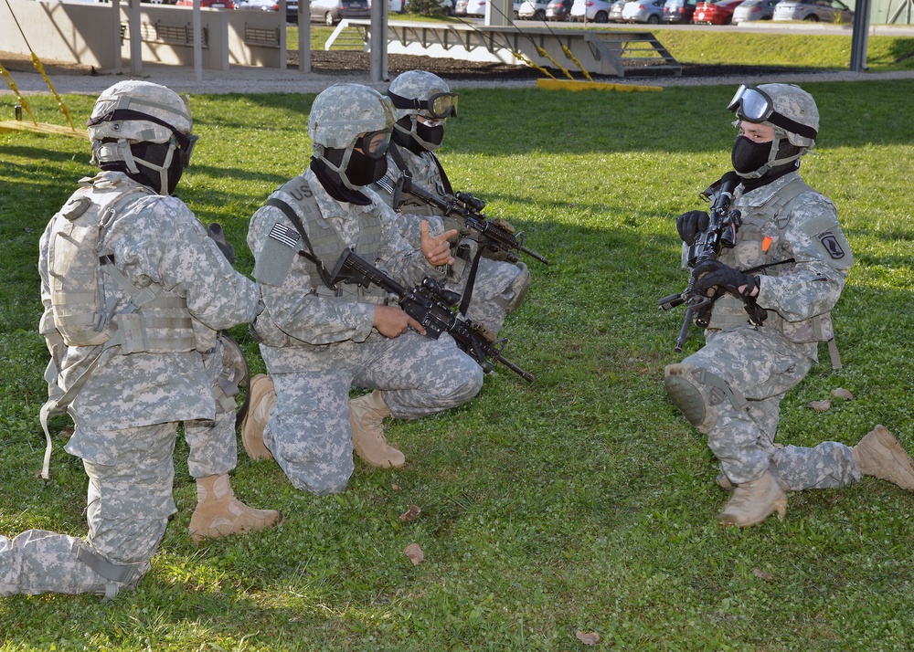 Sapper Stakes, 173rd IBCT(A), 1st Battalion, 503rd Infantry Regiment