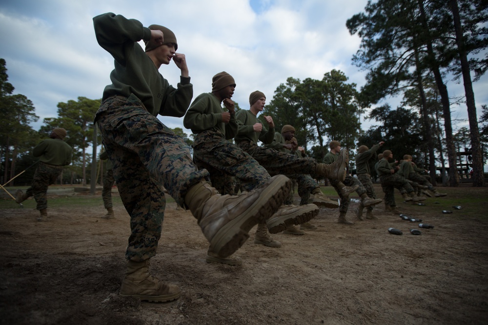 Photo Gallery: Marine recruits overcome obstacles on Parris Island Confidence Course