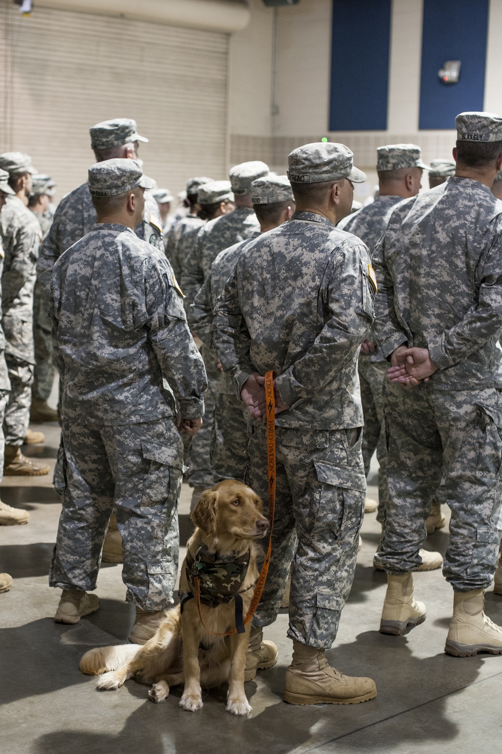 Man’s best friend helps NC Guardsman with PTSD