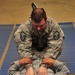 Air Force combatives teaches self-defense