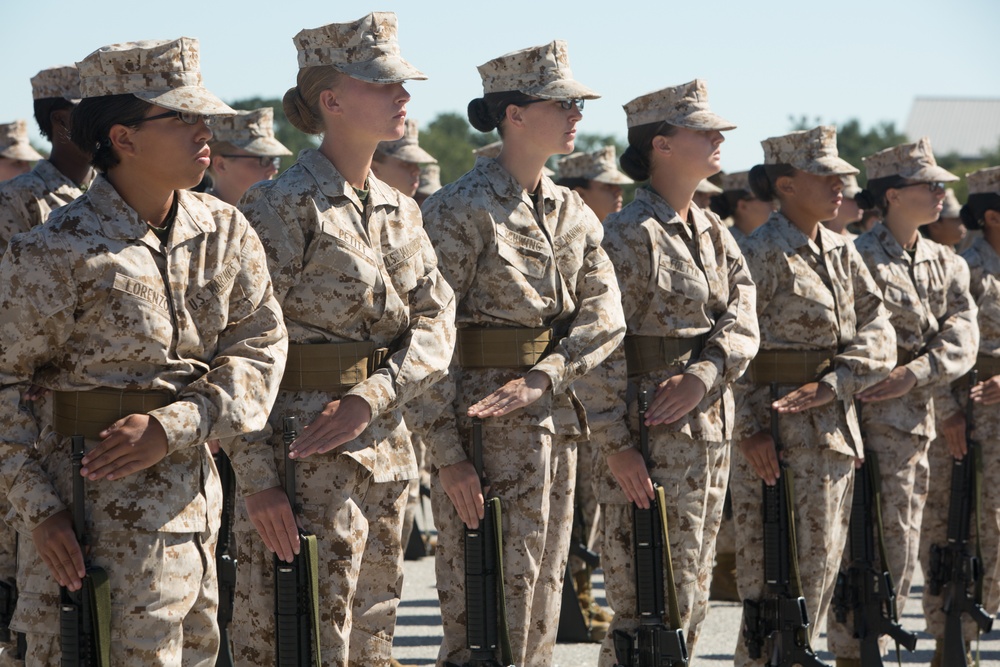 Marine recruits judged on discipline during a final drill evaluation on Parris Island