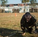 Marine recruits train for physical challenges of combat on Parris Island