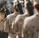 Marine recruits march closer to graduation on Parris Island