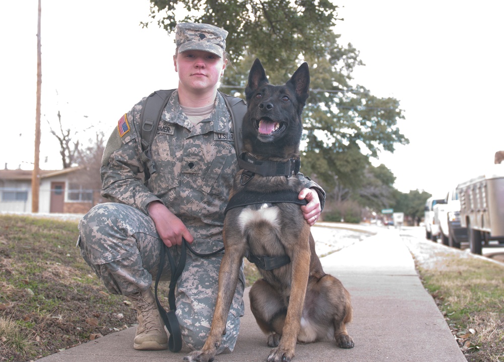 A soldier's best battle buddy