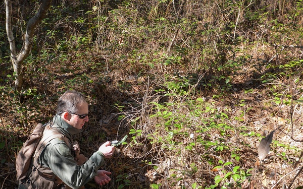 Aircrews evade simulated bad guys