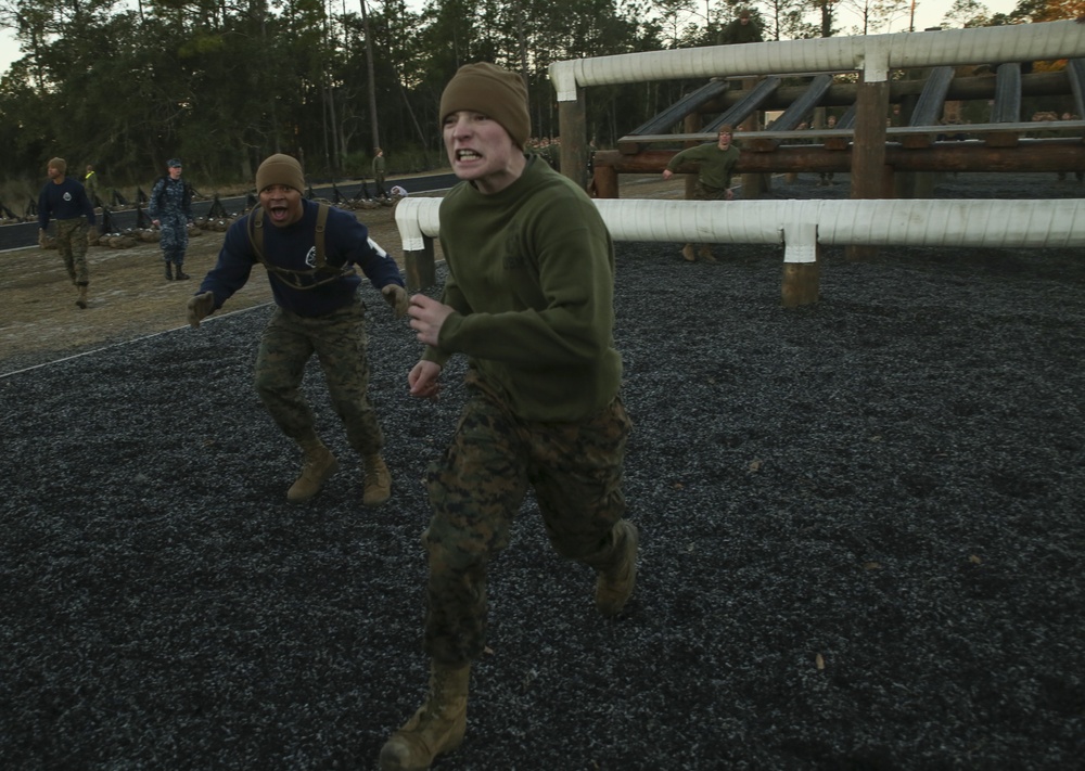 Photo Gallery: Marine recruits test strength, balance on Parris Island course
