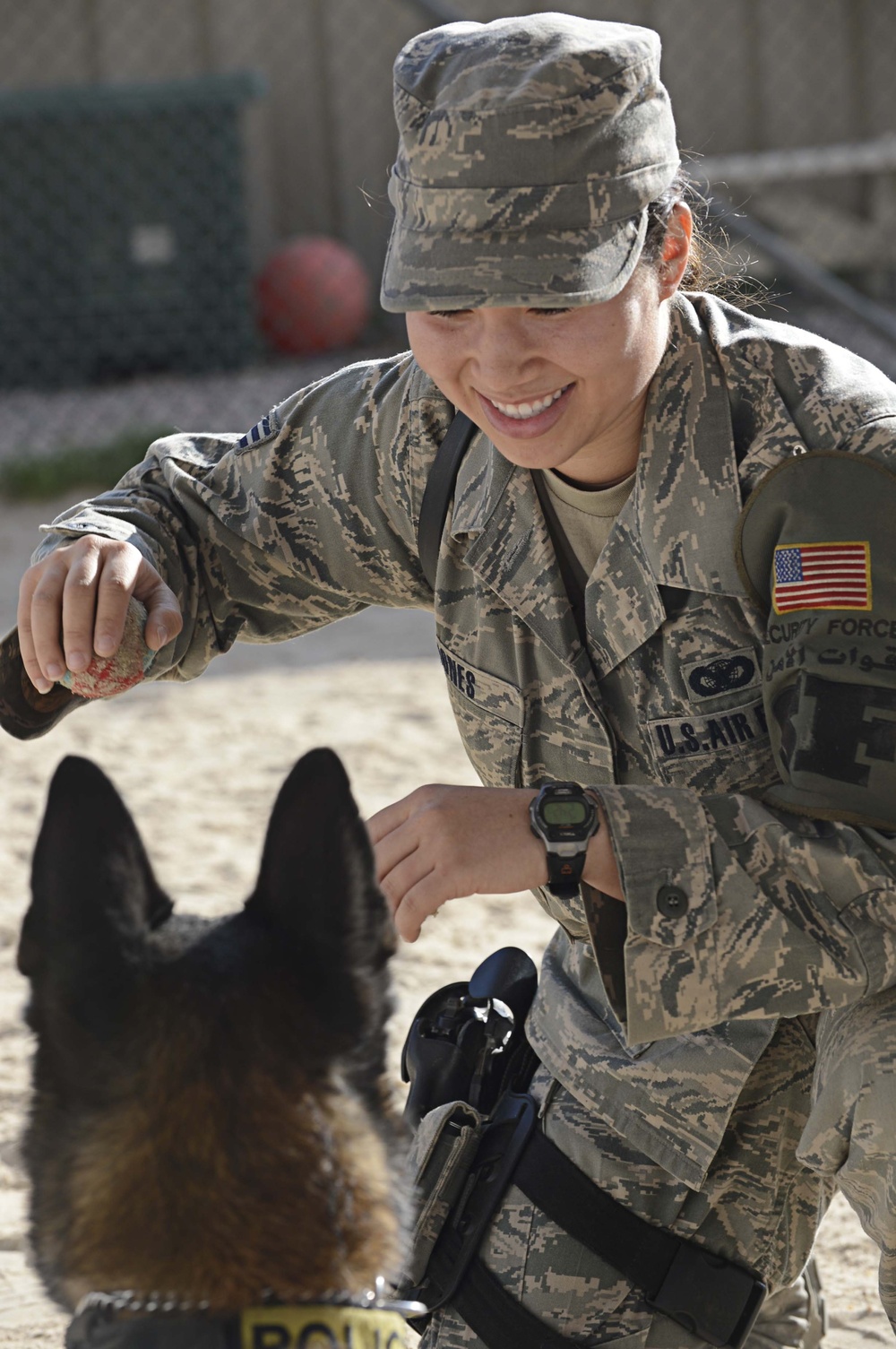 MWD's and their handlers