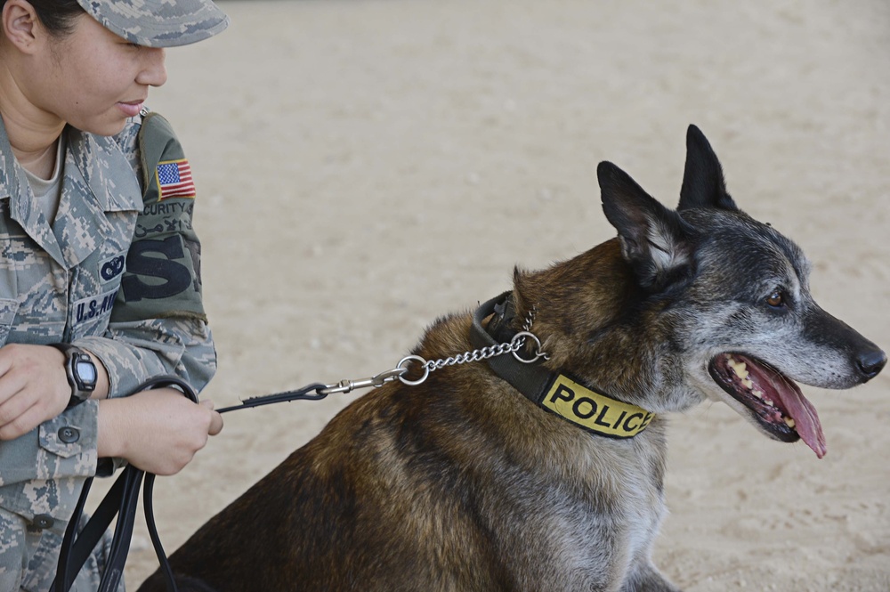 MWD's and their handlers