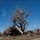 Tornado damage