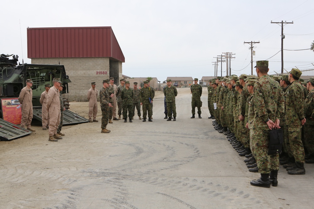 Marines introduce AAVs to JGSDF