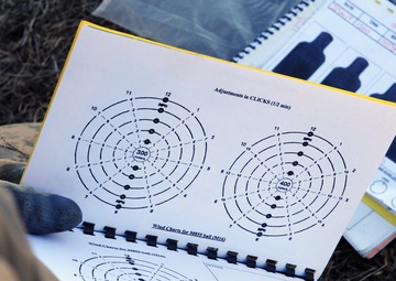 Tennessee National Guard puts weapon skills to the test: Team of four competes in US Army Small Arms Championship