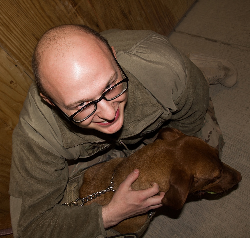 Combat Stress Dog Maj. Eden visits the soldiers of the 365th Engineer Battalion