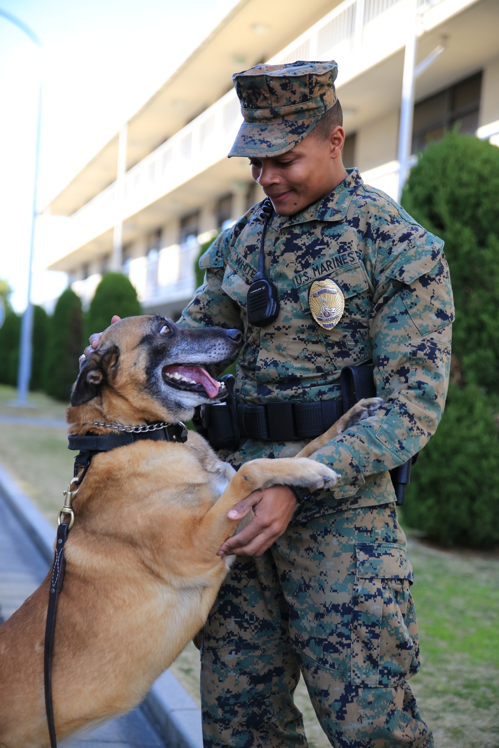 A Marine's best friend