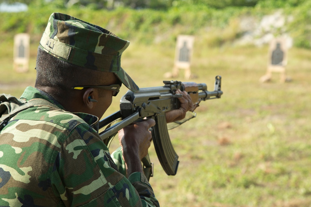 Combat Marksmanship