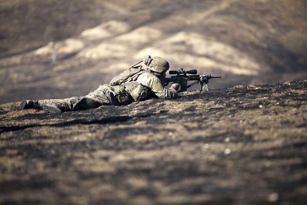 75th Ranger Regiment task force training