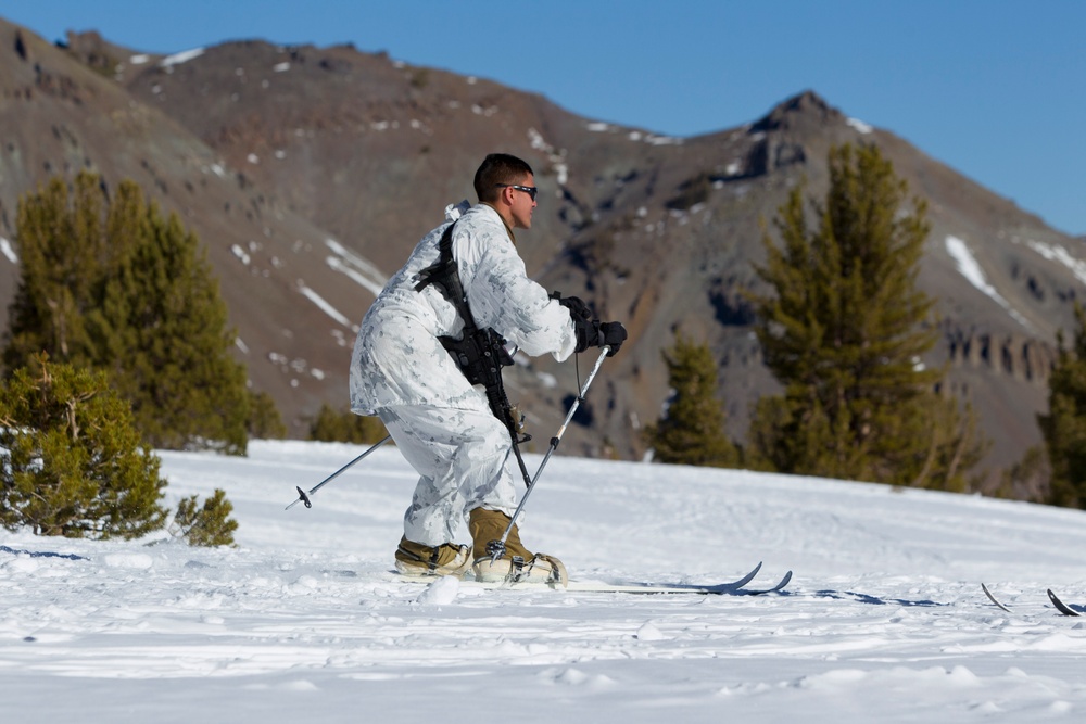 Scout skier course