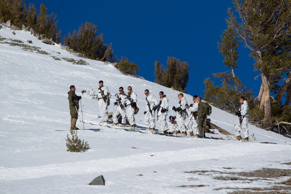 Scout skier course