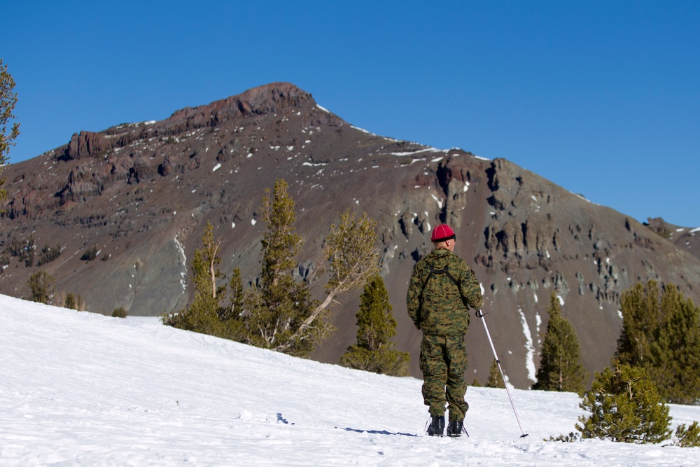 Scout skier course