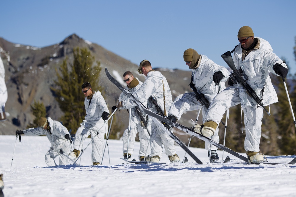 Scout skier course