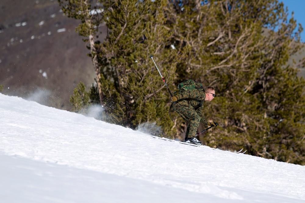 Scout skier course