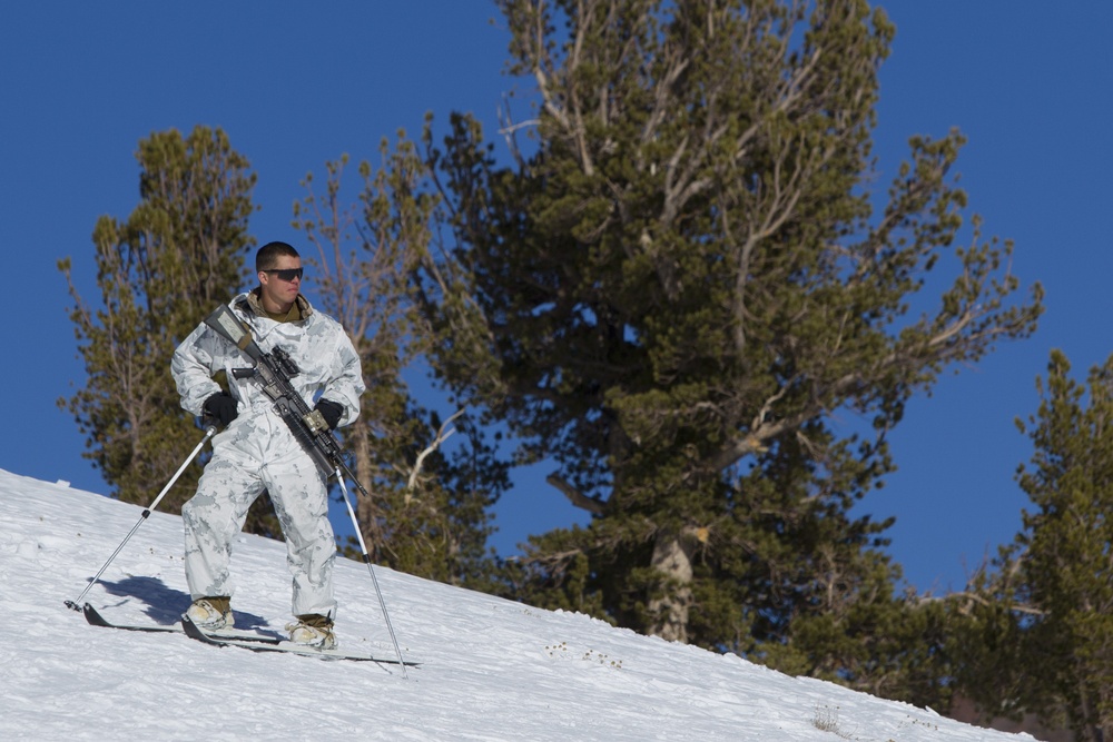 Scout skier course