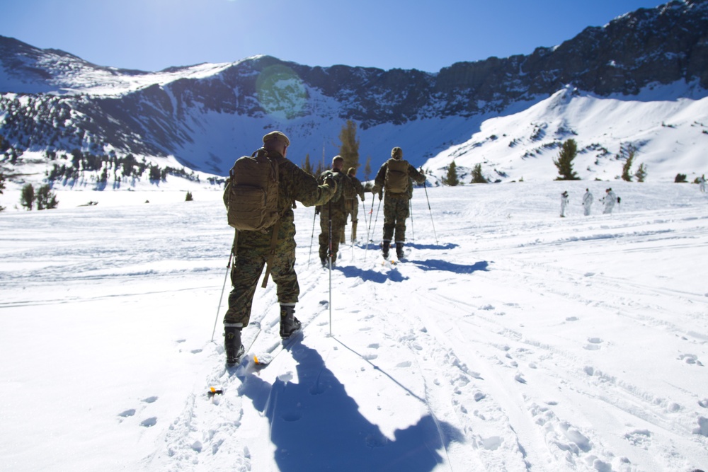 Scout skier course