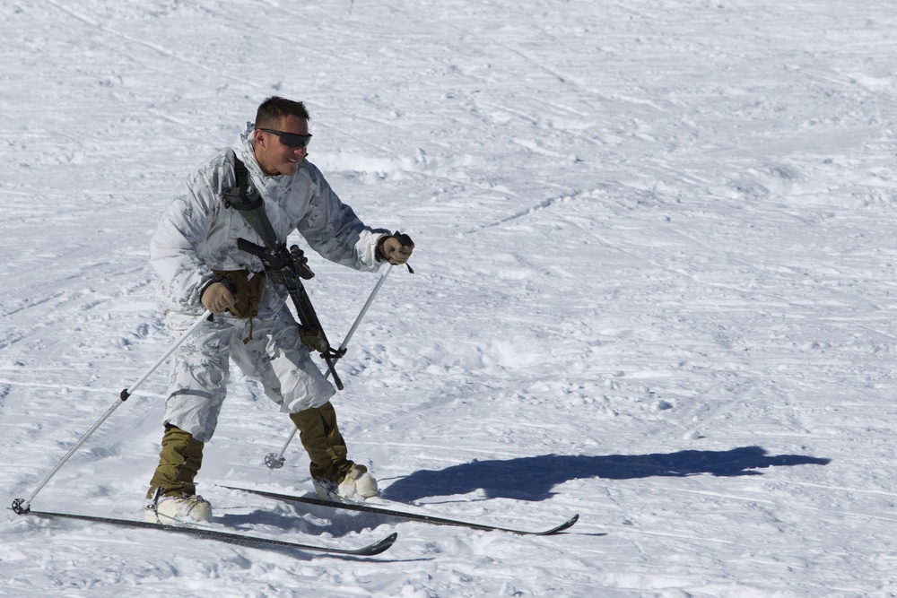 Scout skier course