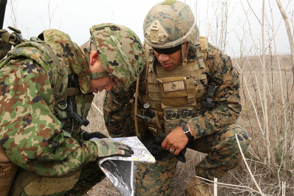 ANGLICO, JGSDF conduct fire-support exercise
