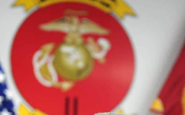 A middle-aged male military officer in digital camouflage uniform is seated in a leather chair, appearing to be speaking or in discussion. Behind him is a large U.S. Marine Corps emblem (Eagle, Globe, and Anchor) with the Roman numeral 'II', indicating association with the 2nd Marine Division or a related II Marine Expeditionary Force unit. An American flag and a Marine Corps flag are also visible in the background.
