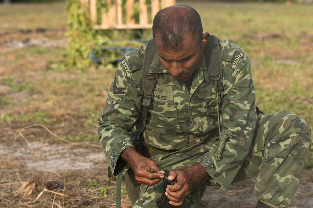 Live Fire Training