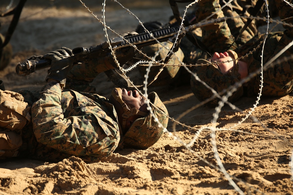 Photo Gallery: Marine recruits apply new skills on Parris Island combat course